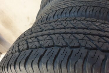 Brand new Dunlop